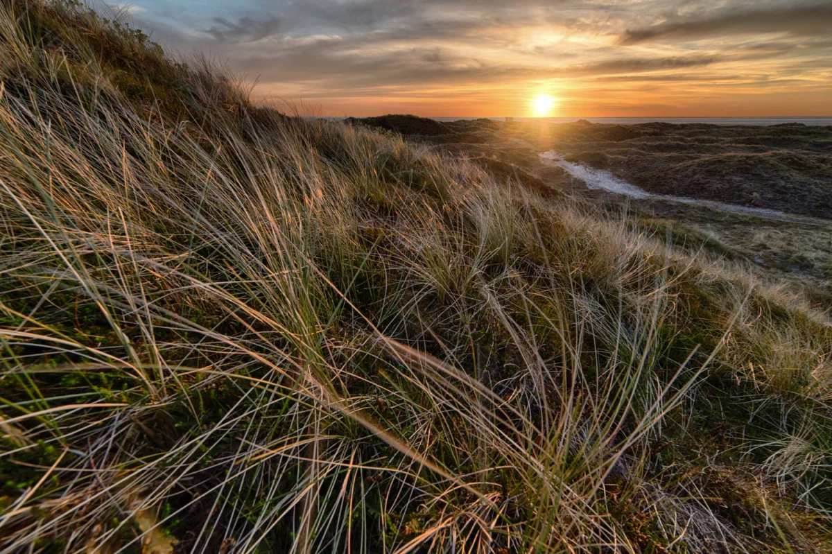 Sprawozdania RENTRI: jak poprawnie wypełnić wzór, terminy, najczęstsze błędy i praktyczna checklista dla przedsiębiorcy