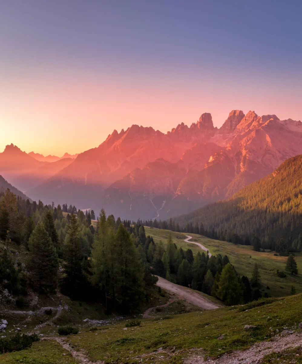 Wartość tego jak Portal medyczny