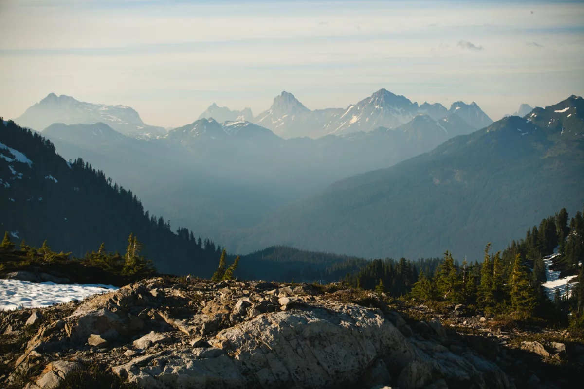 Czy warto Portal medyczny? Koszty i ceny
