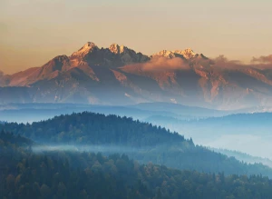 Zrób to wreszcie! Zacznij kupić wyposażenie domu już w 5 dni!