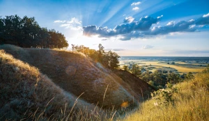 Czy można podlewać samemu?